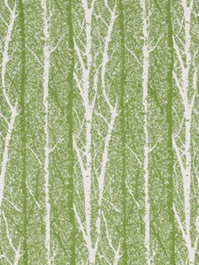 Scalamandre Fabric Birch Weave Spring Green
