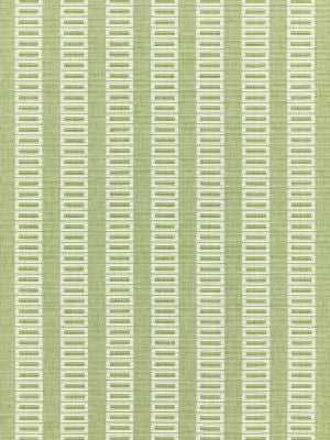 <p>Lark Stripe Grass GW272450002 by Scalamandre Fabric</p><p><strong>Required Minimum Quantity Purchase: Fabrics by the yard 1 YARD MINIMUM </p><p>Book: FOLKLORE</p><p>Content: 100% COTTON</p><p>Origin: INDIA</p><p>Performance: MEDIUM DUTY</p><p>Repeat: Horizontal: 0.75" and Vertical: 3.25"</p><p>Width: 55</p>