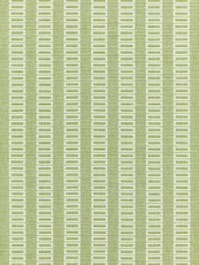 Scalamandre Fabric Lark Stripe Grass