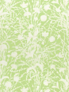 Scalamandre Fabric Wildflower Grasshopper