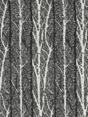 Birch Weave Shadow GW272050003 by Grey Watkins Designer Fabric BREEZE 88% COTTON 12% POLYESTER INDIA MEDIUM DUTY Horizontal: 33" and Vertical: 13.5" 52 - Swanky Fabrics -