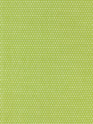 <p>Honeycomb Weave Kiwi GW272090003 by Scalamandre Fabric</p><p><strong>Required Minimum Quantity Purchase: Fabrics by the yard 1 YARD MINIMUM </p><p>Book: BREEZE</p><p>Content: 55% COTTON 35% LINEN 6% WOOL 4% ACRYLIC</p><p>Origin: ITALY</p><p>Performance: MEDIUM DUTY</p><p>Repeat: Horizontal: .75" and Vertical: .75"</p><p>Width: 54</p>