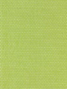 Scalamandre Fabric Honeycomb Weave Kiwi