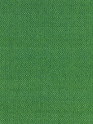 <p>Reed Texture Palm GW272120004 by Scalamandre Fabric</p><p><strong>Required Minimum Quantity Purchase: Fabrics by the yard 1 YARD MINIMUM </p><p>Book: BREEZE</p><p>Content: 100% MERCERISED COTTON</p><p>Origin: INDIA</p><p>Performance: MEDIUM DUTY</p><p>Repeat: Horizontal: 0" and Vertical: 0"</p><p>Width: 53</p>