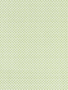Scalamandre Fabric Dash & Dot Print Sugar Snap
