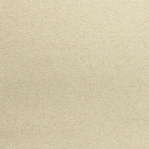 Raine Weave/Dune Gw 000127224 by Grey Watkins Fabric