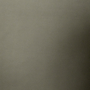 Vinyl Library Geminidis Gray by Europatex Fabric