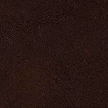 Grand Sierra Chocolate B363501 by Omnova Fabric See sample 100% Vinyl USA or Imported Water-based cleaning agents and foam may be used for cleaning. Cleaning by a professional cleaning service is recommended. 54 - Fabric Carolina -