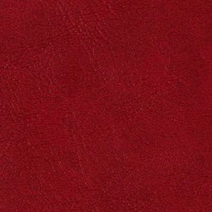 Grand Sierra Fire Red B363489 by Omnova Fabric