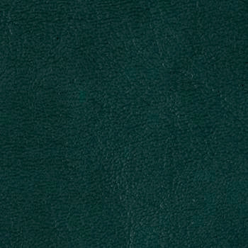 Grand Sierra Hunter B363495 by Omnova Fabric See sample 100% Vinyl USA or Imported Water-based cleaning agents and foam may be used for cleaning. Cleaning by a professional cleaning service is recommended. </p><p>Repeat: Horizontal: and Vertical: 54" - Fabric Carolina -