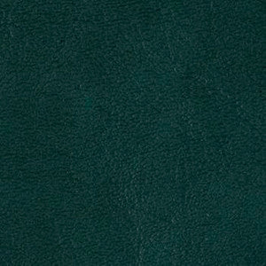Grand Sierra Hunter B363495 by Omnova Fabric