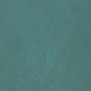 Grand Sierra Seafoam by Omnova Fabric