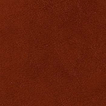 Grand Sierra Spice B363497 by Omnova Fabric See sample 100% Vinyl USA or Imported Water-based cleaning agents and foam may be used for cleaning. Cleaning by a professional cleaning service is recommended. </p><p>Repeat: Horizontal: and Vertical: 54" - Fabric Carolina -
