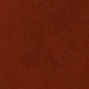 Grand Sierra Spice by Omnova Fabric