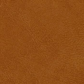 Grand Sierra Wheat by Omnova Fabric See sample 100% Vinyl 0 Horizontal: Not Applicable and Vertical: Not Applicable 54" - Fabric Carolina -