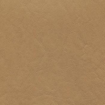 Grand Vista Almond GRV-001 by CGPC Fabric See sample 100% Vinyl USA or Imported Water-based cleaning agents and foam may be used for cleaning. Cleaning by a professional cleaning service is recommended. </p><p>Repeat: Horizontal: and Vertical: 54" - Fabric Carolina -