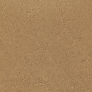 Grand Vista Almond GRV-001 by CGPC Fabric