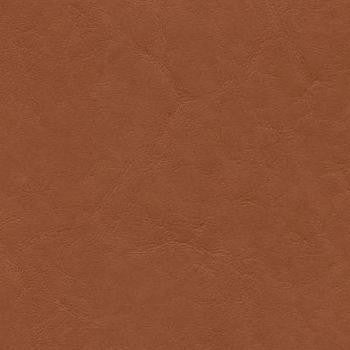 Grand Vista Wheat GRV-015 by CGPC Fabric See sample 100% Vinyl USA or Imported Water-based cleaning agents and foam may be used for cleaning. Cleaning by a professional cleaning service is recommended. </p><p>Repeat: Horizontal: and Vertical: 54" - Fabric Carolina -