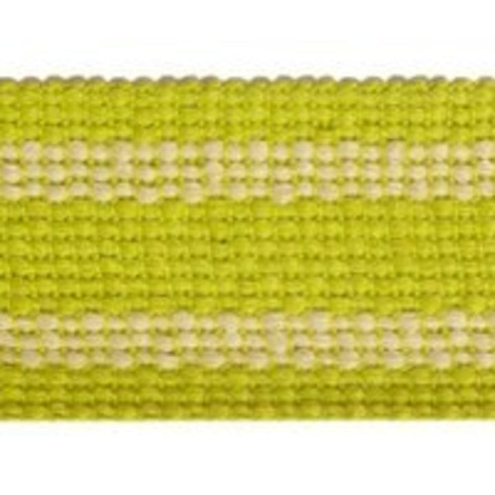 Grassi Kiwi by Europatex Fabric Carnivale 100% Polyester 1.75 inches - Fabric Carolina -