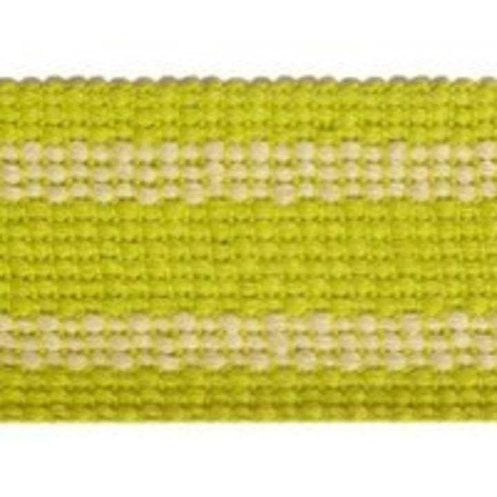 Grassi Kiwi by Europatex Designer Fabric Carnivale 100% Polyester 1.75 inches - Swanky Fabrics -
