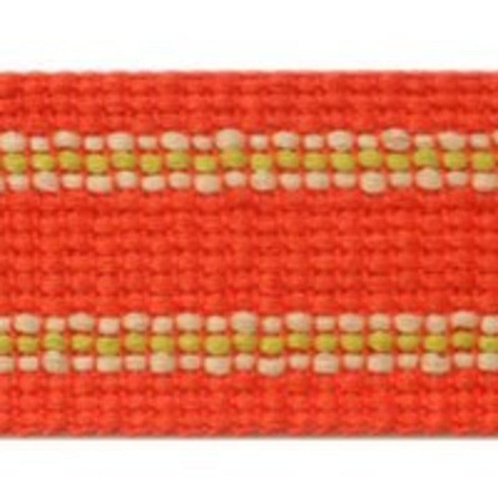 Grassi Mango by Europatex Designer Fabric Carnivale 100% Polyester 1.75 inches - Swanky Fabrics -