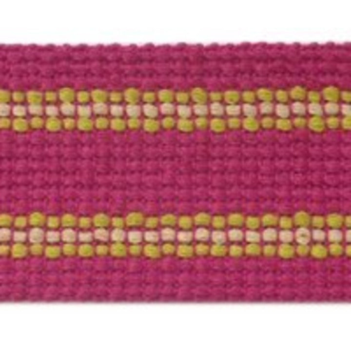 Grassi Pink by Europatex Designer Fabric Carnivale 100% Polyester 1.75 inches - Swanky Fabrics -