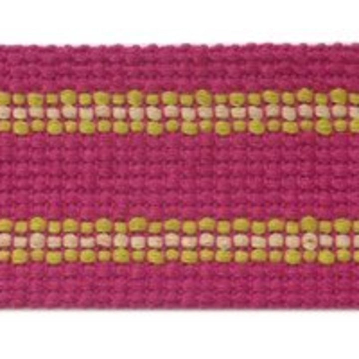 Grassi Pink by Europatex Fabric Carnivale 100% Polyester 1.75 inches - Fabric Carolina -