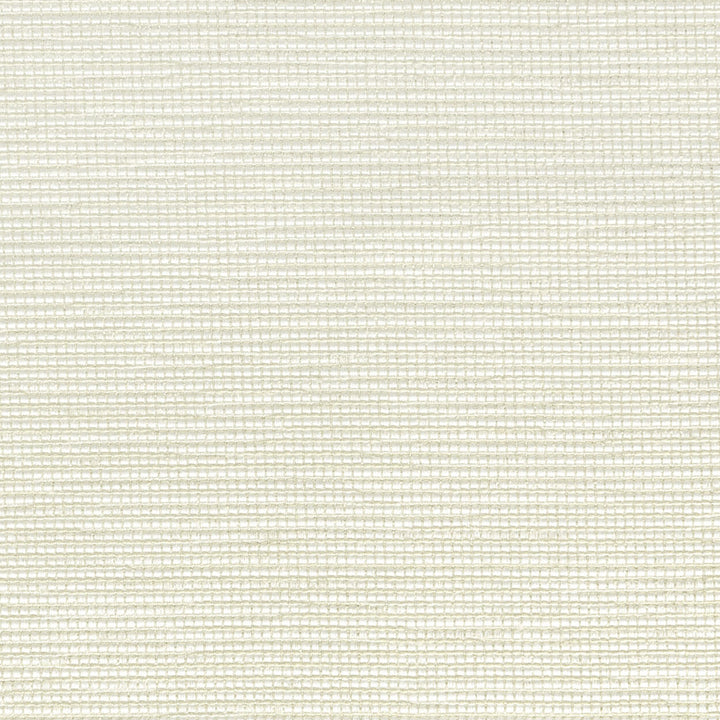 Hainesport 1 Silver by Stout Fabric COLOR MY WINDOW PEARL/DRIFTWOOD 95%POL 5%SVI CHINA Horizontal: 0.000 and Vertical: 0.125 55 in - Fabric Carolina -