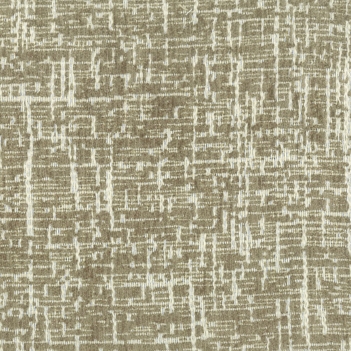 Haircut 2 Toffee by Stout Fabric Stout Fabric Haircut 2 ToffeeFabric RAINBOW LIBRARY MUSHROOM/TAUPE CHINA </p><p>Repeat: H: 2.000, V: 2.000 56 in - Fabric Carolina -