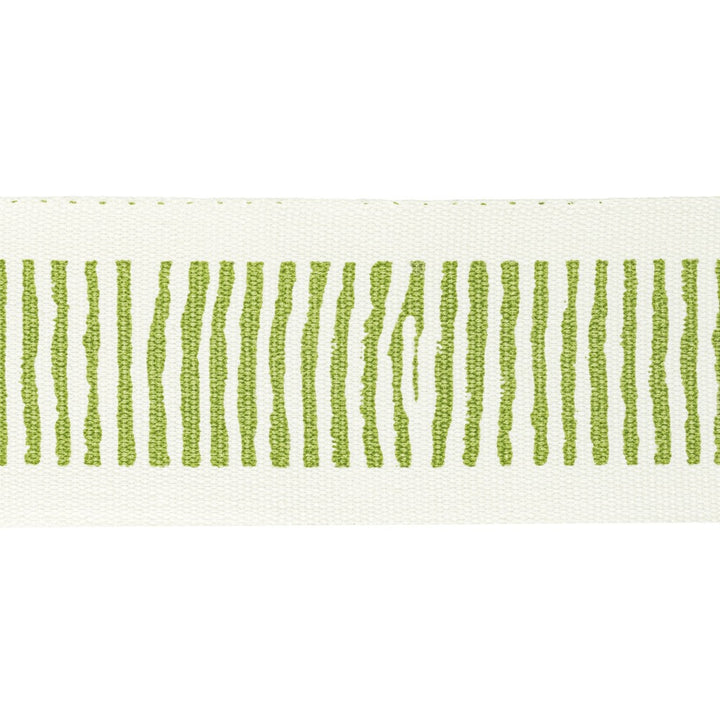 Halifax Tape 11 Apple by Stout Trim NATURAL BEAUTY TRIM 100%COT INDIA Horizontal: 2.500 and Vertical: 5.000 2.5 in - Fabric Carolina -
