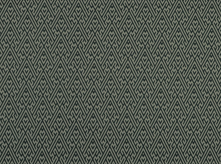 Halifax Granite 922 by Covington Fabric 52% COTTON 48% POLYESTER TAI 50000+ Horizontal: 4.5 and Vertical: 2.25 55 - Fabric Carolina -