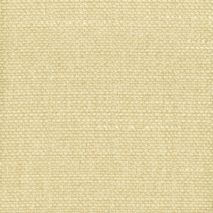 Halogen 10 Straw by Stout Fabric MYTH DRAPERY FR TEXTURES 100%POL TAIWAN FLAME RETARDANT-N.F.P.A. 701 SMALL SCALE WYZENBEEK 15 000 DOUBLE RUB WEAR TEST (HEAVY DUTY) Horizontal: 0 and Vertical: 0 54 in - Fabric Carolina -