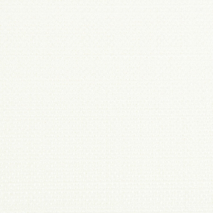 Halogen 1 Eggshell by Stout Fabric Myth Drapery Fr Textures 100% Polyester TAIWAN FLAME RETARDANT-N.F.P.A. 701 SMALL SCALE WYZENBEEK 15 000 DOUBLE RUB WEAR TEST (HEAVY DUTY) Horizontal: 0 and Vertical: 0 54 in - Fabric Carolina -