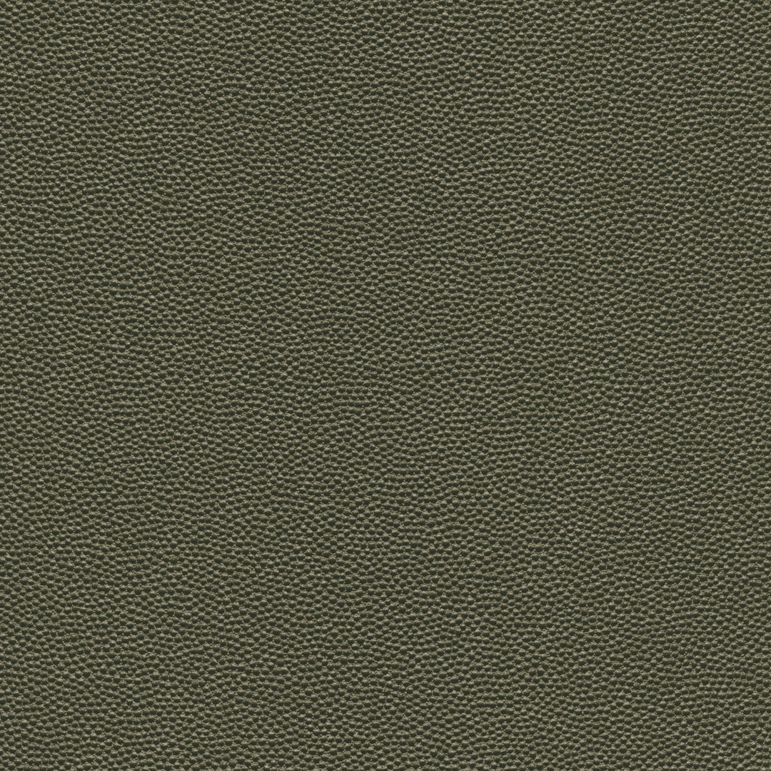 Kravet Design - Hammer-3 By Kravet Design Fabric