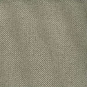 Hammock Mocha by Norbar Fabric See Sample 100% POLYESTER CHINA 60,000 WYZENBEEK 55 - Fabric Carolina -