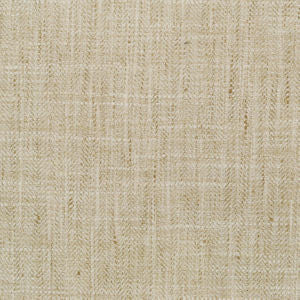 Hanover Sesame 043 by Norbar Fabric ARENA 100% POLYESTER INDIA 54 - Fabric Carolina -