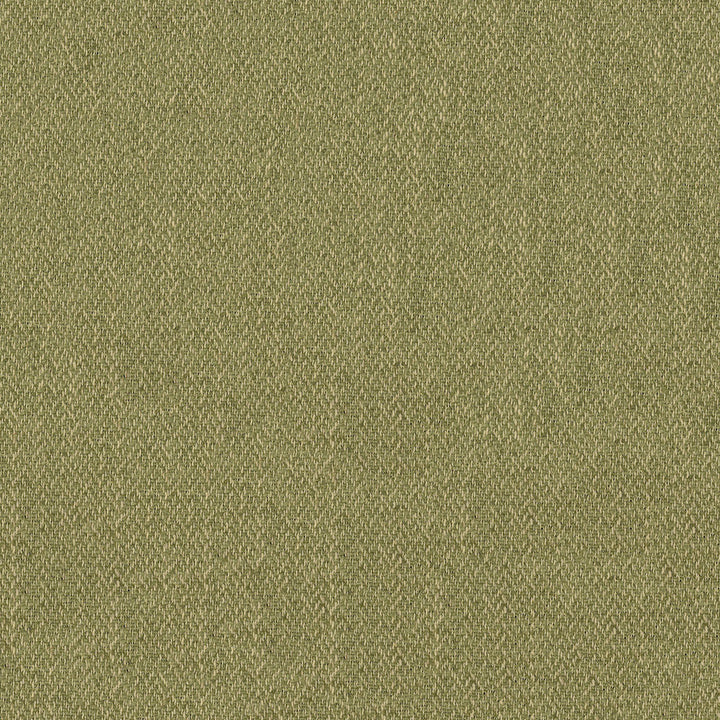Davidson 205 Palm by ABBEYSHEA Fabric N/A 100% Nylon China </p><p>Repeat: Horizontal: and Vertical: 40" (? cm) - Fabric Carolina -
