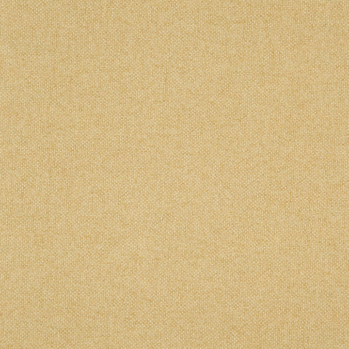 Hastings 16J8301 by JF Designer Fabric Everyday Crusader Fibreguard 100% Polyester China 85000 Horizontal: and Vertical: 57 - Swanky Fabrics -