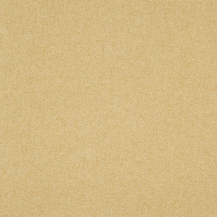 Hastings 16J8301 by JF Fabric Everyday Crusader Fibreguard 100% Polyester China 85000 Horizontal: and Vertical: 57 - Fabric Carolina -