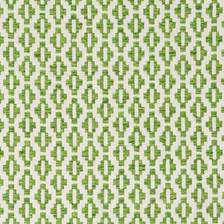 Hatfield 1 Grass by Stout Fabric THE ART OF COLOR HERITAGE 65%POL 35%COT INDIA FLAME RETARDANT-U.F.A.C. CLASS 1 FLAME RETARDANT-N.F.P.A. 260A CLASS 1 WYZENBEEK 50 000 DOUBLE RUB WEAR TEST (HEAVY DUTY) Horizontal: 0.75 and Vertical: 0.75 54 in - Fabric Carolina -