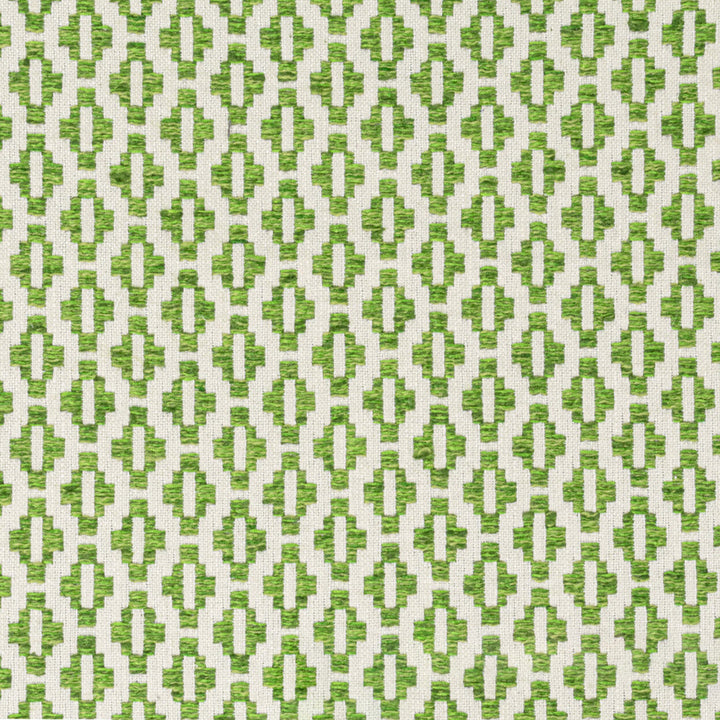 Hatfield 1 Grass by Stout Designer Fabric THE ART OF COLOR HERITAGE 65%POL 35%COT INDIA Horizontal: 0.750 and Vertical: 0.750 54 in - Swanky Fabrics -