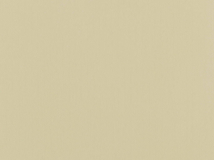 Haven Antique White 101 by Covington Fabric our website for purchase 95% Bamboo/5% Linen India 37500 Horizontal: 1" and Vertical: 1.25" 54" - Fabric Carolina -