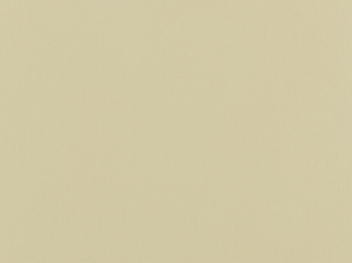 Haven 101 Antique White by Covington Fabric 95% BAMBOO/5% LINEN India 37500 Horizontal: 1 and Vertical: 1.25 54 - Fabric Carolina -