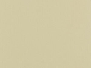 Haven 101 Antique White by Covington Fabric