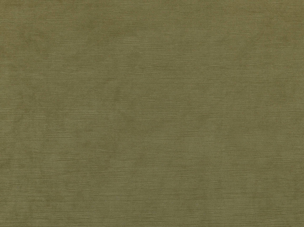 Hawthorne Khaki 122 by Covington Fabric our website for purchase 100% Polyester China 96000 Horizontal: 0" and Vertical: 0" 56" - Fabric Carolina -