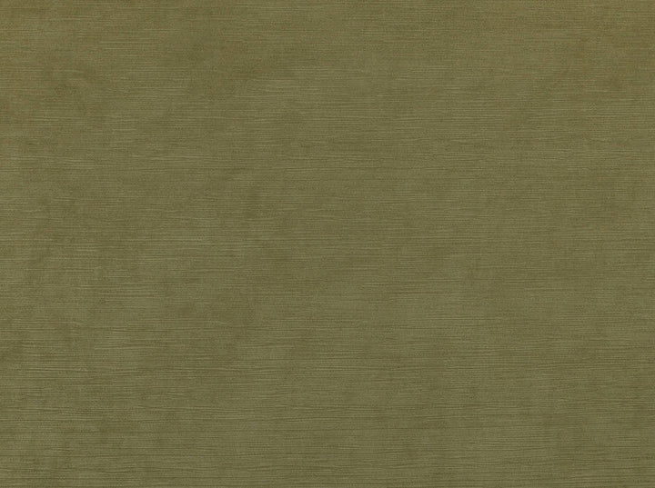 Hawthorne Khaki 122 by Covington Fabric our website for purchase 100% Polyester China 96000 Horizontal: 0" and Vertical: 0" 56" - Fabric Carolina -