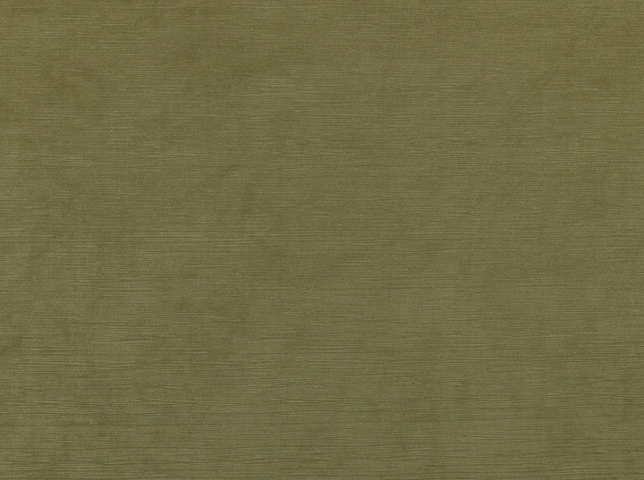 Hawthorne Khaki 122 by Covington Fabric 100% POLYESTER CHN 96000 Horizontal: 0 and Vertical: 0 56 - Fabric Carolina -