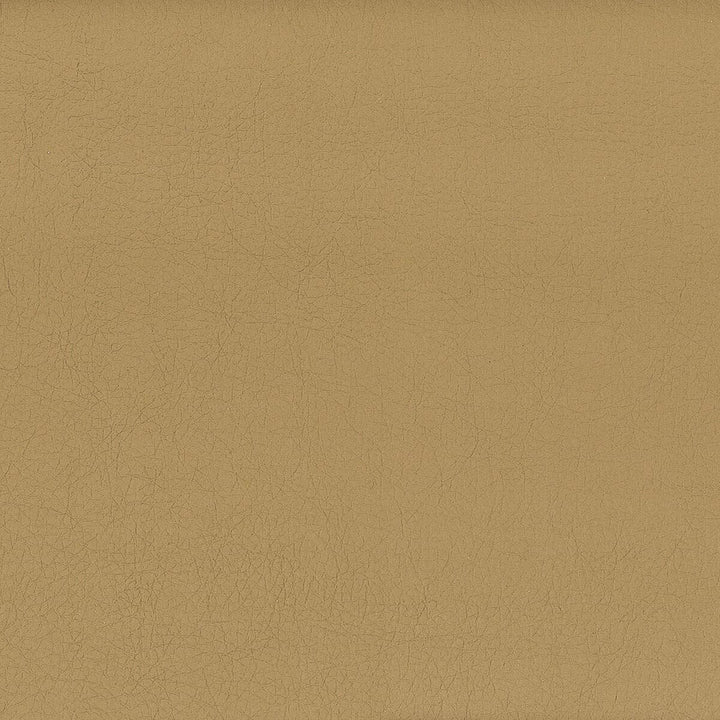 Hayride 10 Khaki by Stout Fabric ON THE GO 100%PVC 1%OTH TAIWAN FLAME RETARDANT-CA BULLETIN 117-SECTION E FLAME RETARDANT-U.F.A.C. CLASS 1 FLAME RETARDANT-N.F.P.A. 260A CLASS 1 FLAME RETARDANT-FMVSS 302 WYZENBEEK 500 000 DOUBLE RUB WEAR TEST(EXTREMELY HEAVY DUTY) Horizontal: 0 and Vertical: 0 54 in - Fabric Carolina -