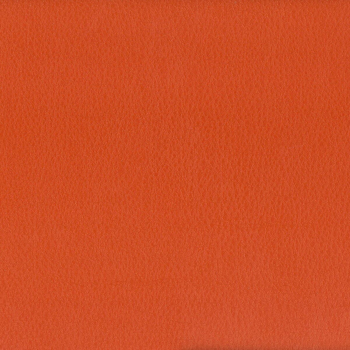 Hayride 11 Tigerlily by Stout Fabric ON THE GO 100%PVC 1%OTH TAIWAN FLAME RETARDANT-CA BULLETIN 117-SECTION E FLAME RETARDANT-U.F.A.C. CLASS 1 FLAME RETARDANT-N.F.P.A. 260A CLASS 1 FLAME RETARDANT-FMVSS 302 WYZENBEEK 500 000 DOUBLE RUB WEAR TEST(EXTREMELY HEAVY DUTY) Horizontal: 0 and Vertical: 0 54 in - Fabric Carolina -