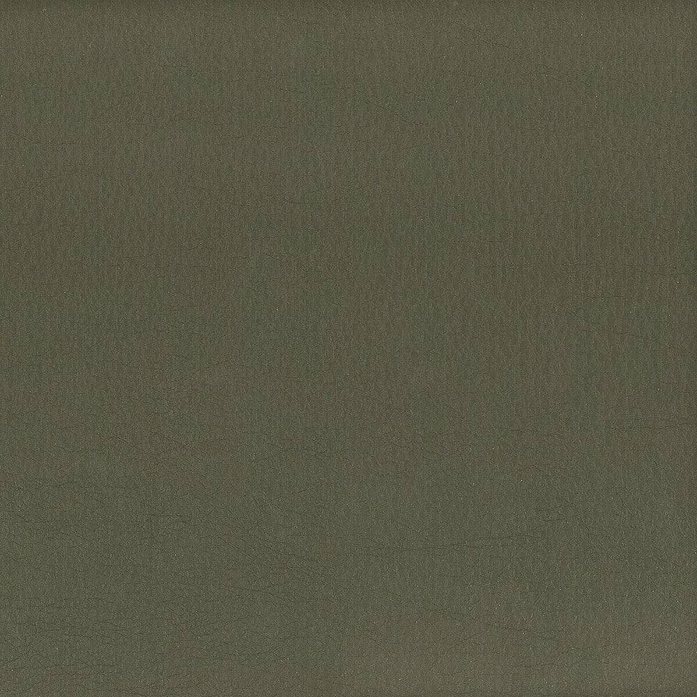 Hayride 12 Slate by Stout Fabric ON THE GO 100%PVC 1%OTH TAIWAN FLAME RETARDANT-CA BULLETIN 117-SECTION E FLAME RETARDANT-U.F.A.C. CLASS 1 FLAME RETARDANT-N.F.P.A. 260A CLASS 1 FLAME RETARDANT-FMVSS 302 WYZENBEEK 500 000 DOUBLE RUB WEAR TEST(EXTREMELY HEAVY DUTY) </p><p>Repeat: 0 54 in - Fabric Carolina -